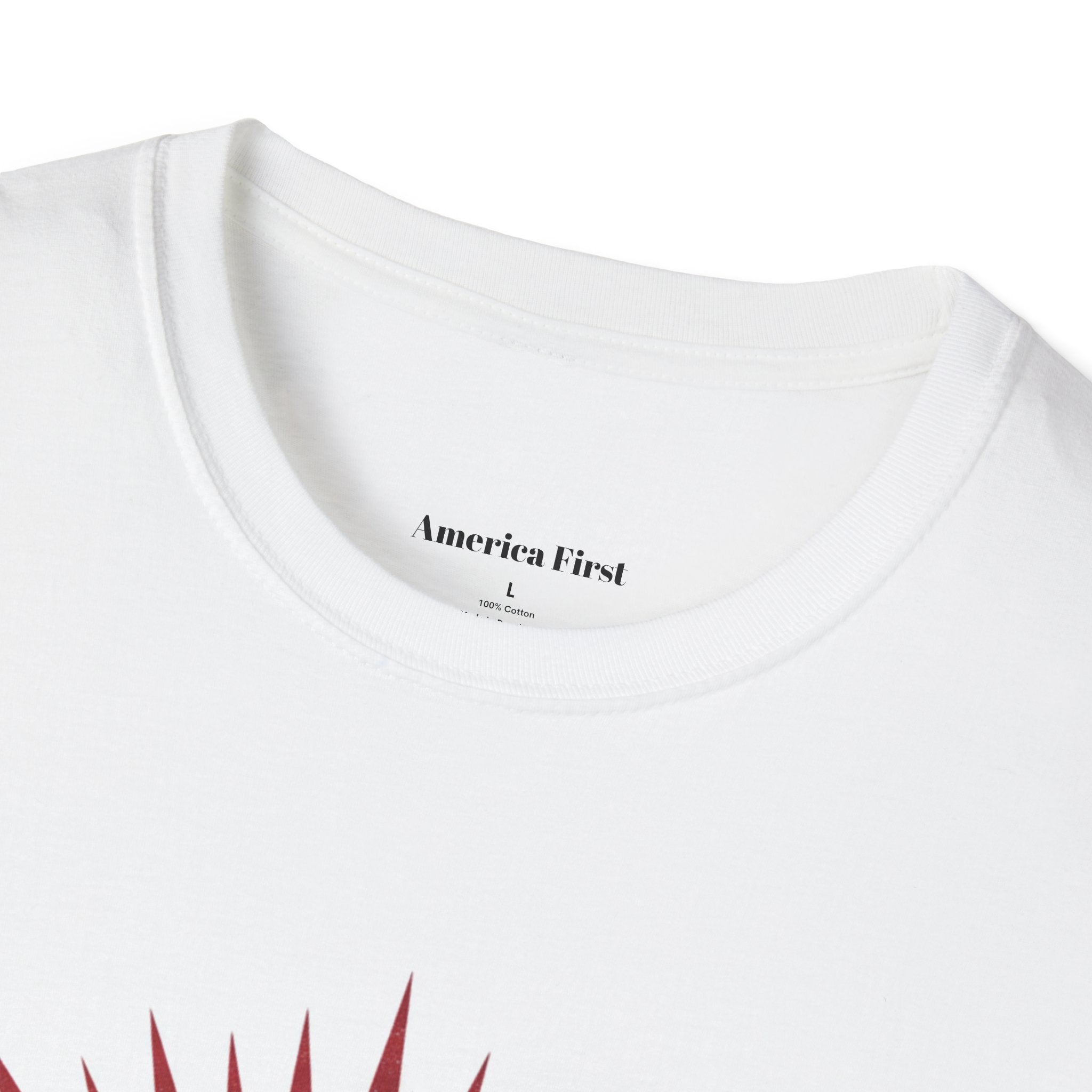 America First Protect ICE T-Shirt